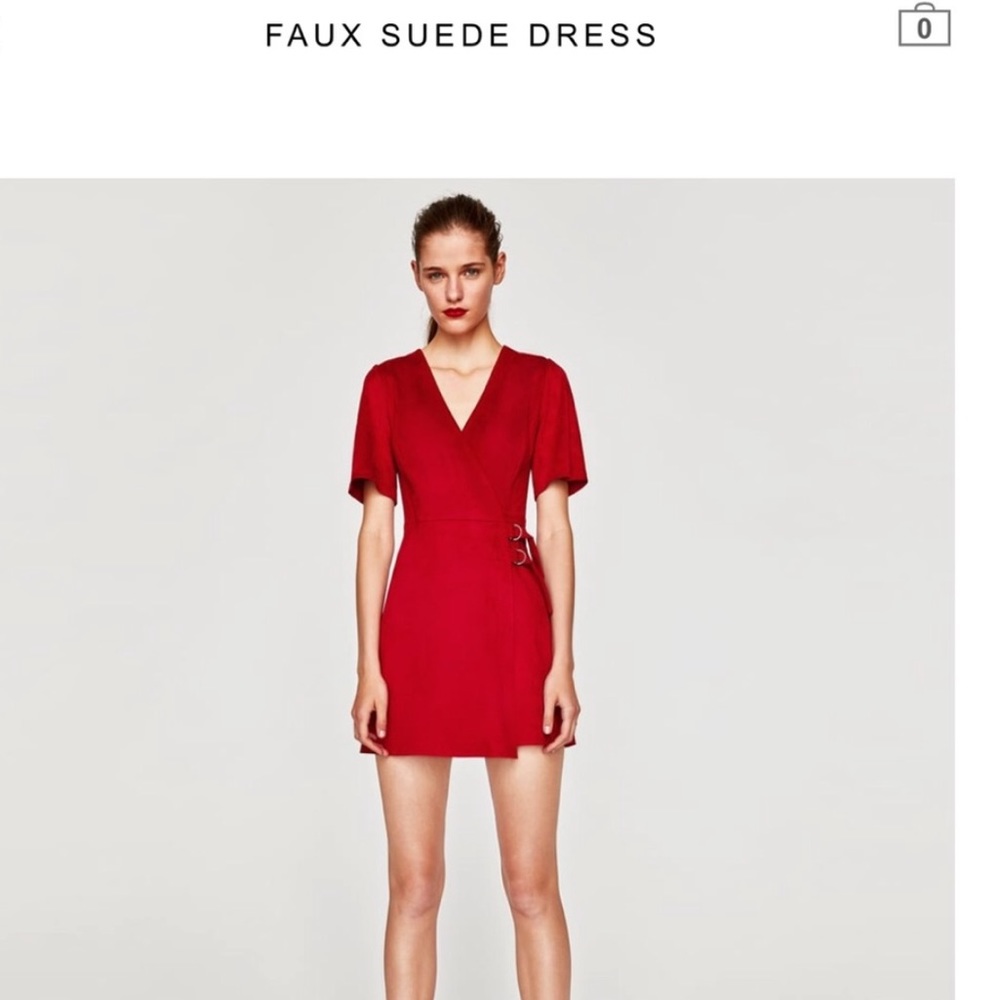 Zara Faux Suede Dress